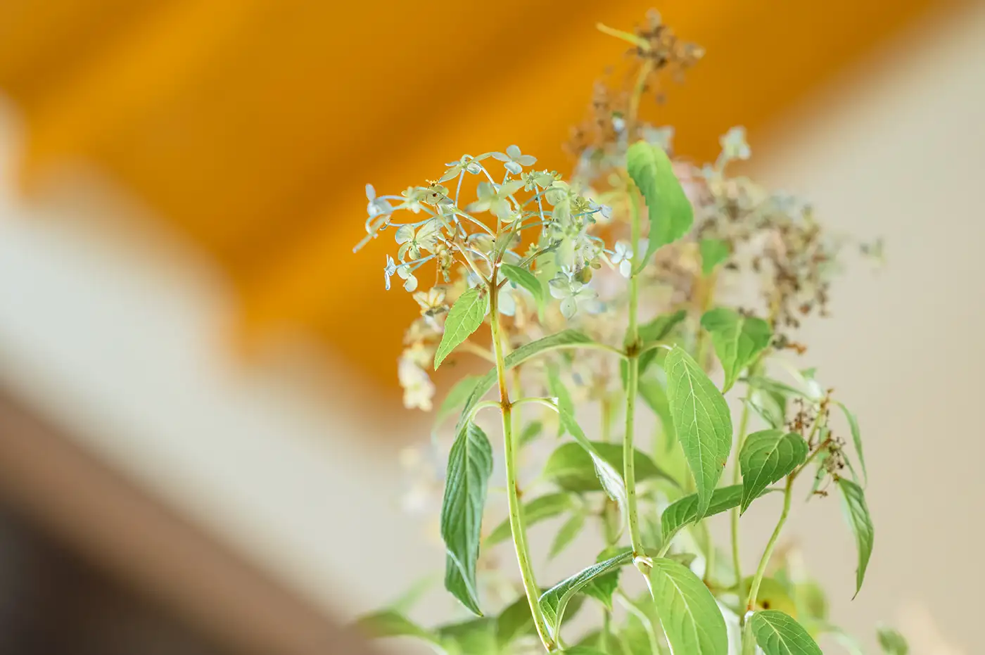 Ceep お問い合わせイメージ - 3